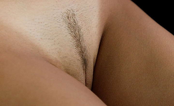 trimmed pussy